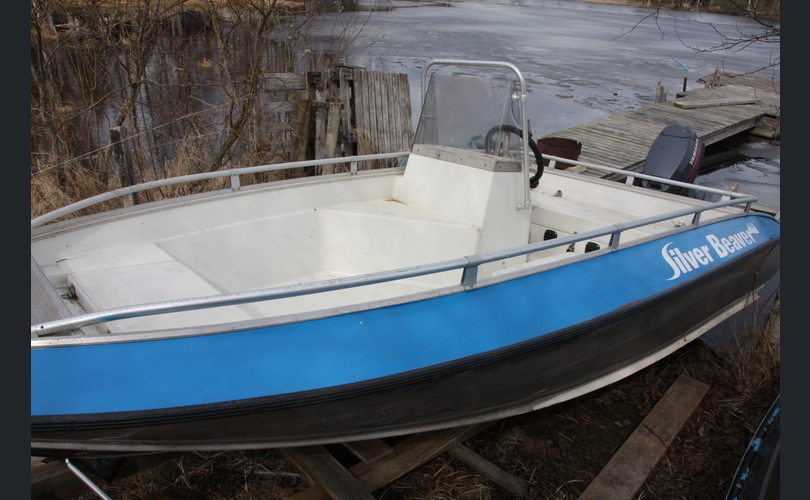 Silver Beaver-kuva-3